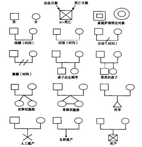 家庭關係圖畫法|1分钟教你画家庭关系图 